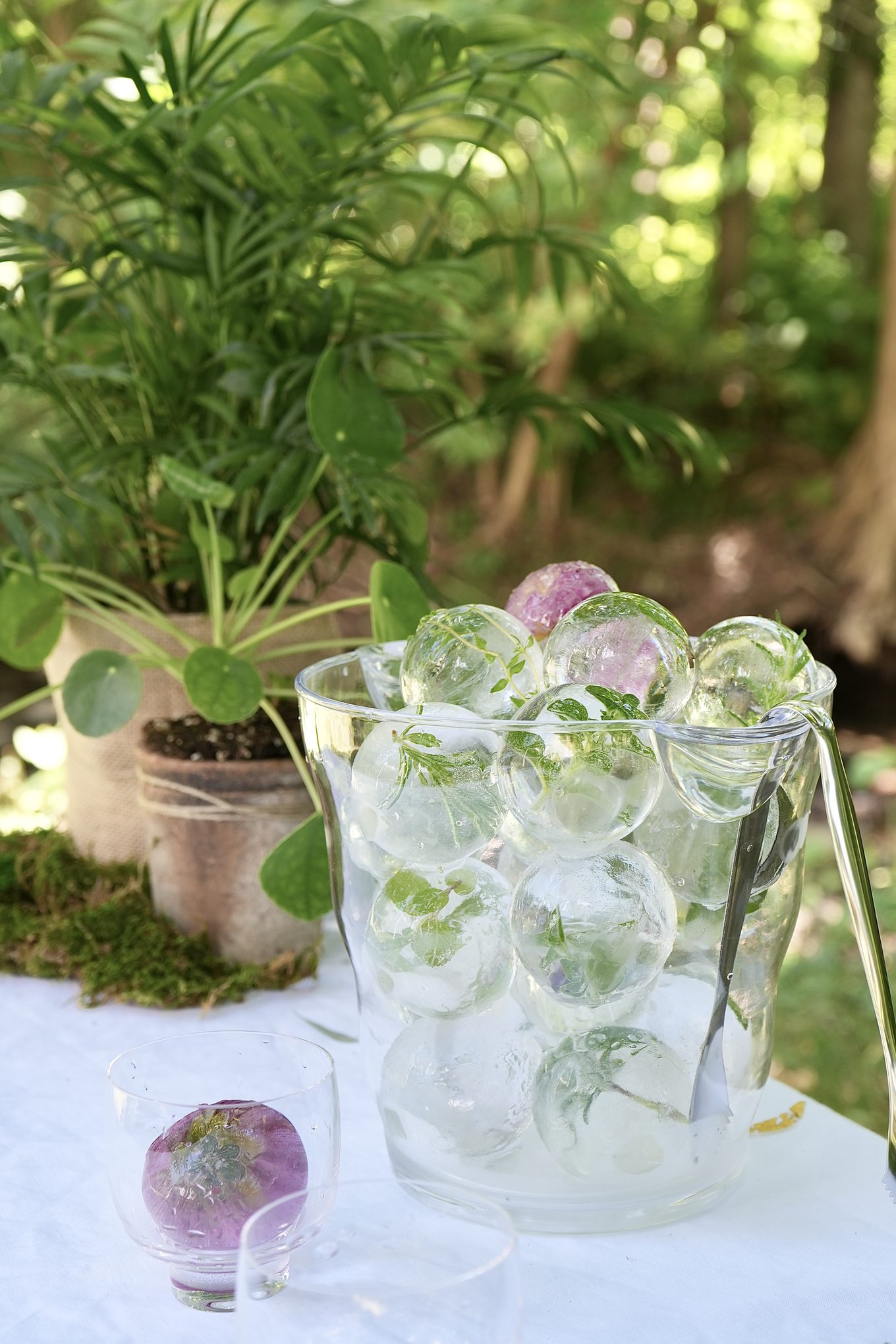 A glass ice bucket filled with clear-ice spheres set with herbs and blooms, on a linen-draped garden table beside potted greenery, with a single petal-set sphere resting in a glass alongside.