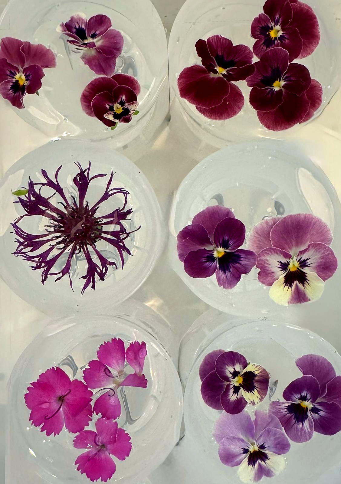 An overhead view of Still Bloom ice spheres set with edible flowers and botanicals — pansies, dianthus, cornflower, and violas in shades of purple, magenta, and pink